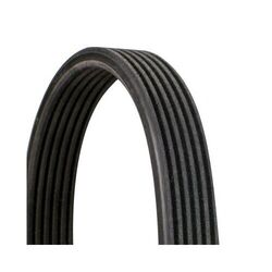 1x Keilrippenriemen CONTINENTAL CTAM 6DPK1188 passend für SEAT VW