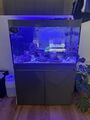 Meerwasseraquarium Komplettsett fast Neu (330l)