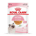 ROYAL CANIN KITTEN Nassfutter in Gelee für Kätzchen 12x85 g