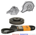 CONTI Keilriemen 6PK2490+RIEMENSCHEIBE KURB.W.+WAPU AUDI A4 A6 A8 Q7 2,7 3,0TDI