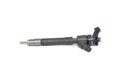 BOSCH 0 445 110 546 Injektor Einspritzdüse für RENAULT Scénic III (JZ0/1)