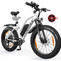 VIPDRIVE 26 Zoll Ebike 250W E Mountainbike 48V 13Ah Damen Herren Elektrofahrrad