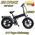 2024 ENGWE ENGINE X  20 Zoll E Mountainbike  Elektrofahrrad 250W 13AH Ebike NEW