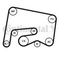 CONTINENTAL CTAM Keilrippenriemensatz 6PK2155K1 für MERCEDES KLASSE W204 GLK SLK