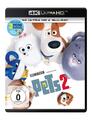 Pets 2 4K Ultra-HD (4K UHD Blu-ray) Liefers Jan Josef Yardim Fahri Bär Dietmar