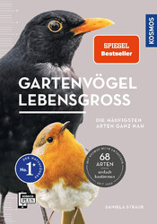 Gartenvögel lebensgroß | Daniela Strauß | Taschenbuch | 128 S. | Deutsch | 2024