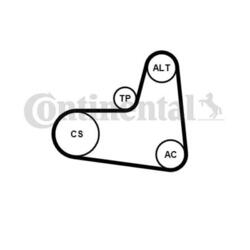 Continental Ctam 6PK1005K1 Keilrippenriemensatz für Skoda Audi Seat VW Cupra