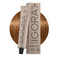 Schwarzkopf Igora Royal Absolutes 7-450 Mittleres Natürliches Goldbeigeblond60m