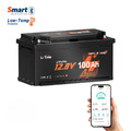 LiTime 12V 100Ah H190 Bluetooth LiFePO4 Lithium Batterie für Wohnmobil Solar