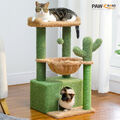 PAWZ Road Kratzbaum Katzenkratzbaum Katzenbaum Sisal Kletterbaum für Katzen 80cm