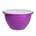 Tupperware Rührschüssel Oma´s Beste 10L lila XXL Blümchendeckel Party Bowl