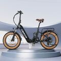 20 Zoll Elektrofahrrad 500W E Bike E-Mountainbike 25km/h Moped Pedelec E-bike