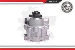 ESEN SKV Hydraulikpumpe, Lenkung  für VWDie Nr.1* für Autoteile: Top-Preis-Leistungs-Verhältnis