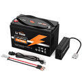 LiTime 12V 100Ah LiFePO4 Akku Lithium Batterie 100A BMS für Wohnmobil Boot Solar