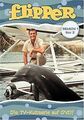 Flipper - Staffel 1, Box 2 [2 DVDs] von Leon Benso... | DVD | Zustand akzeptabel