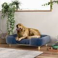 PawHut Hundesofa, Haustiersofa mit Kissen, Hundebett mit Erhöhtem Design Blau