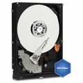 2 TB Western Digital Festplatte 2000GB 3,5 Zoll SATA 3 interne PC WD blue 256 MB