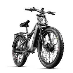 Elektrofahrrad E Mountainbike Dual Motor 2000W 26 Zoll Fat Bike Pedelec 48V