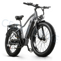 E Bike 26 Zoll Elektrofahrrad 1000W E-City bike Fatbike 48V 20AH Moped eBIKE