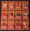 Panini FIFA 365 Adrenalyn XL 2025 Alle 12 Premium Limited Edition Set Full Cards