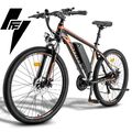 FAFREES e Bike 26 Zoll E Mountainbike Elektrofahrrad e MTB 13Ah Pedelec Citybike