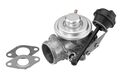 BorgWarner (Wahler) AGR-Ventil 7301D für VW AUDI