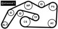 Continental CTAM 6PK2490K1 Keilrippenriemensatz Keilriemen Satz für Audi 