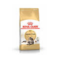 CAT MAJKUN 1+ ROYAL CANIN Maine Coon Erwachsener 4 kg