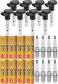 8x MAXGEAR Zündspule+NGK Zündkerze für Jaguar XJ 40 81 6 2.9