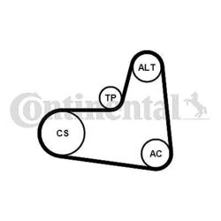 CONTINENTAL CTAM 6PK995K1 Keilrippenriemensatz für AUDI SEAT SKODA VW