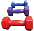 Vinyl Kurzhantel Gusseisen Hantelset Fitness Aerobic Gewichte 1 kg 2 kg 3 kg 4kg