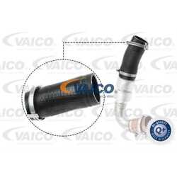 VAICO Ladeluftschlauch passend für Ford Kuga II DM2 2.0 TDCi 4x4 WA6 V25-1036