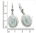 ZEEme Jewelry Ohrschmuck Ohrhänger 925 Sterling Silber Larimar 14x10mm