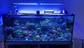 Meerwasser Aquarium Komplett 150x70x60 Salzwasser ATI Straton 204 Pro,Royal,Ghl