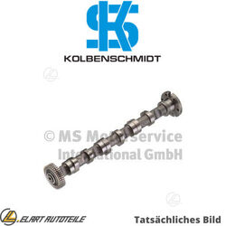 NOCKENWELLE FÜR AUDI CASBBNGBMKBUGBUNCASACDYACASBCDYBCDYC 3.0L BSG/BPP 2.7L VW