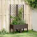 Pflanzkübel mit Rankgitter Spalier Rankhilfe Garten Pflanzkasten PP Hochbeet