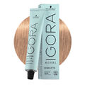 Schwarzkopf Igora Royal Highlifts 10-49 60ml