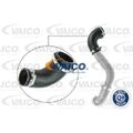 VAICO Ladeluftschlauch für FORD V25-1050