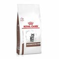 2 kg ROYAL CANIN Feline Gastrointestinal Kitten Unterstützung der Verdauung