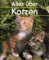 Alles über Katzen