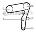 Continental Ctam CT1106WP1 Wasserpumpe + Zahnriemensatz für Opel Fiat Suzuki