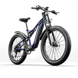 Erwachsene 26 Zoll 1000W Elektrofahrrad ebike Samsung-17.5ah Mountainbike Moped