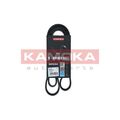 Keilrippenriemen KAMOKA 7016161 passend für FORD NISSAN OPEL RENAULT SAAB