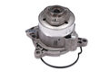 HEPU Wasserpumpe P656 für AUDI A1/A3; SEAT IBIZA/LEON; SKODA FABIA/OCTAVIA/RAPID