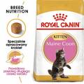 ROYAL CANIN Maine Coon Kitten 2kg