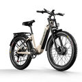 Dual Motor 2000W Elektrofahrrad 840WH E Mountainbike E-City Fatbike Damen Herren