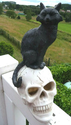 Halloween Schwarze Katze Auf Totenkopf Leuchtet Dekofigur 25cm Schaurig Nr.216