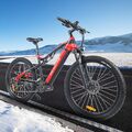 Heda E Bikes 1000W Elektrofahrrad Herren 19,2Ah E Mountainbike 48V 27 Gange Grau