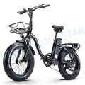 E Bike 800W Elektro Fahrrad 48V Mountainbike 20 Zoll Pedelec E-Fahrrad 25km/h