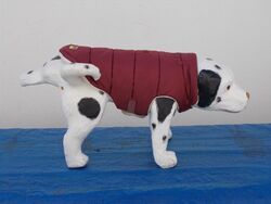 Hunde Regenjacke Mantel Winterjacke  38 cm